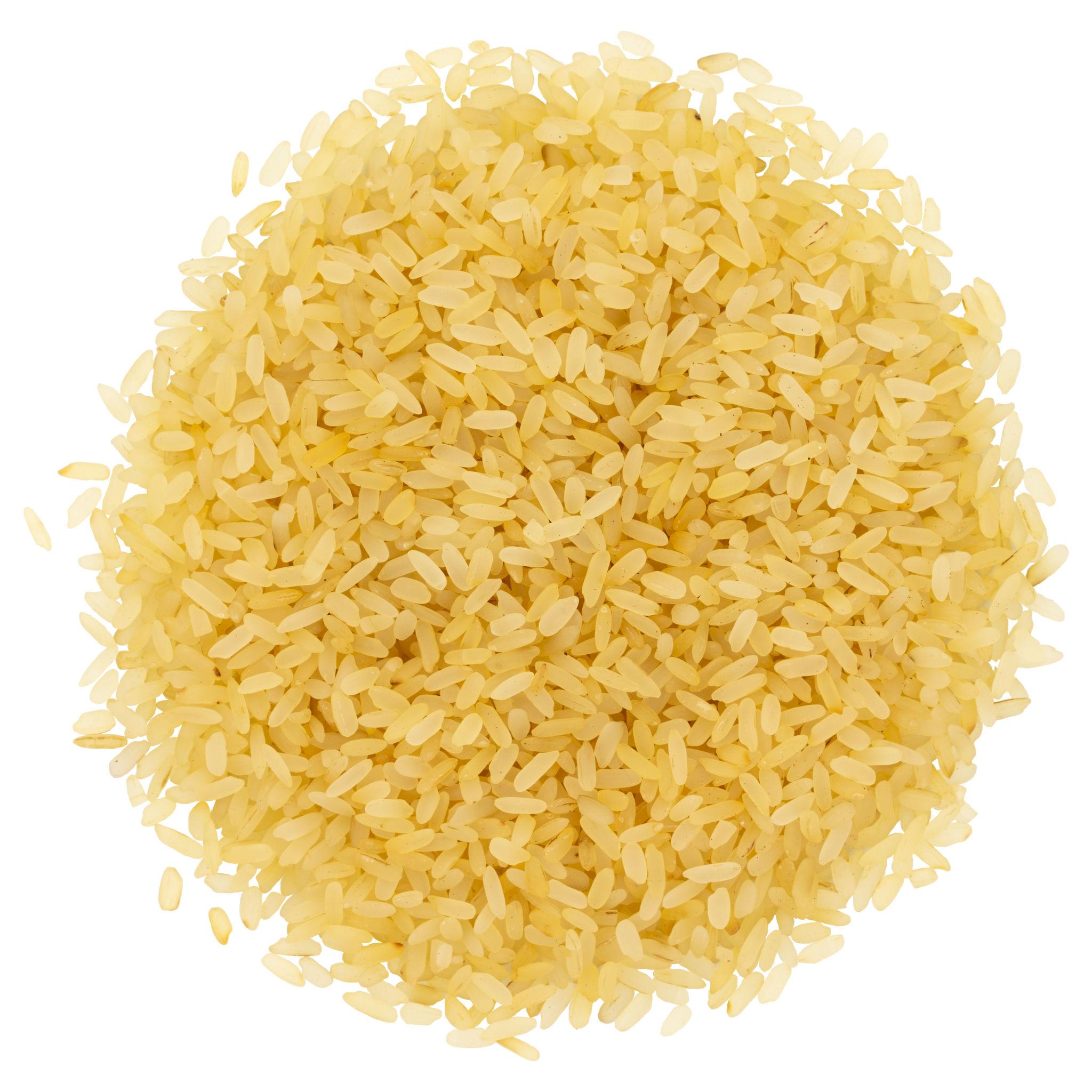 Parboiled Rice (IR64) grains close-up
