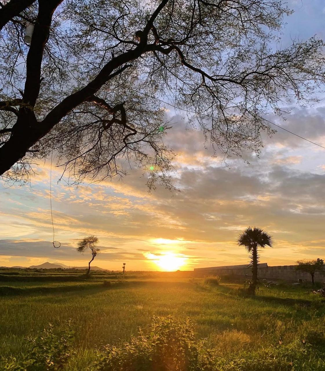 Sunset over the fields where our grain is grown