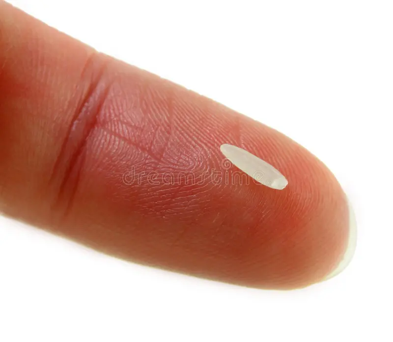 A single rice grain